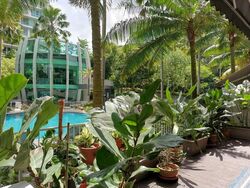 Tree House (D23), Condominium #600359991